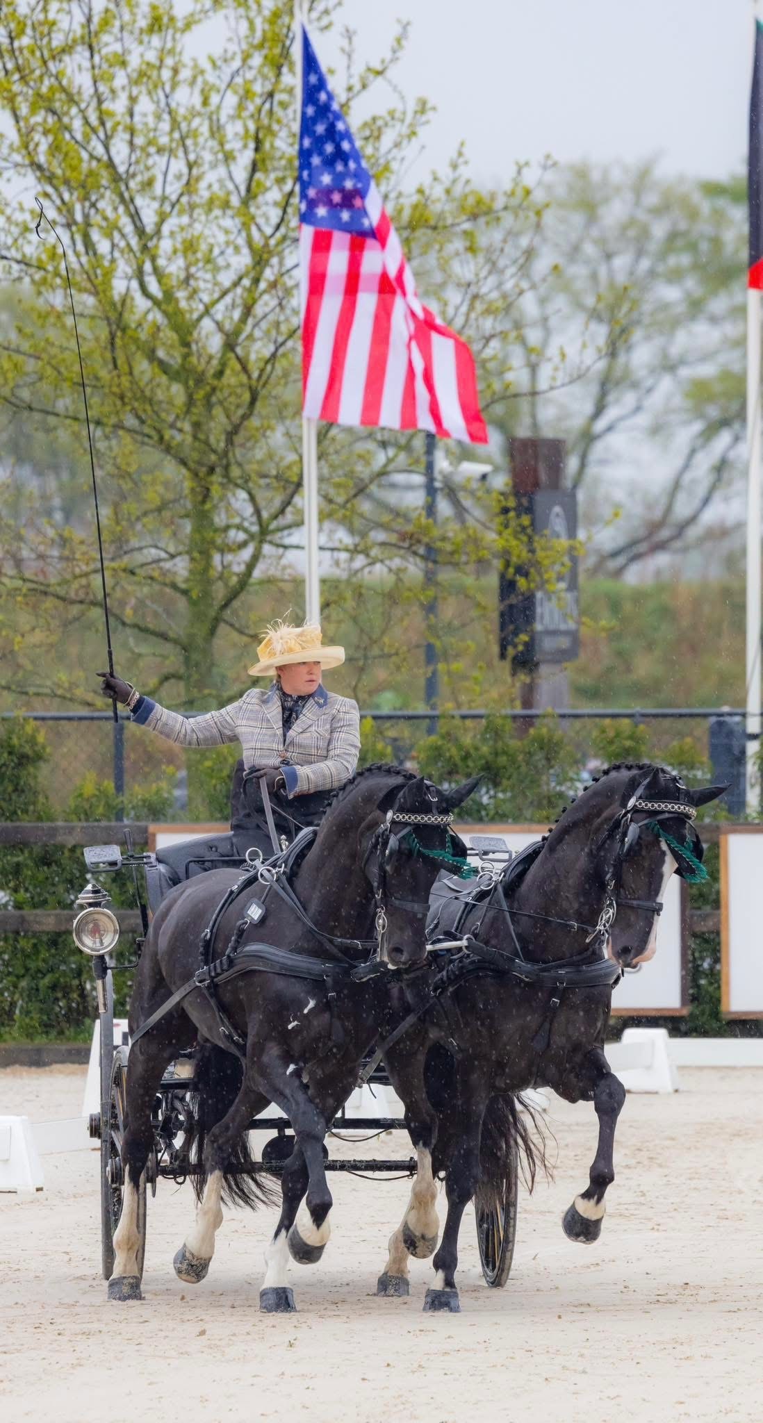 Carriage driving competition