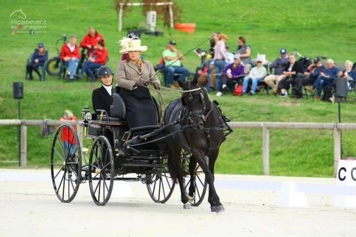 Equestrian event outdoor