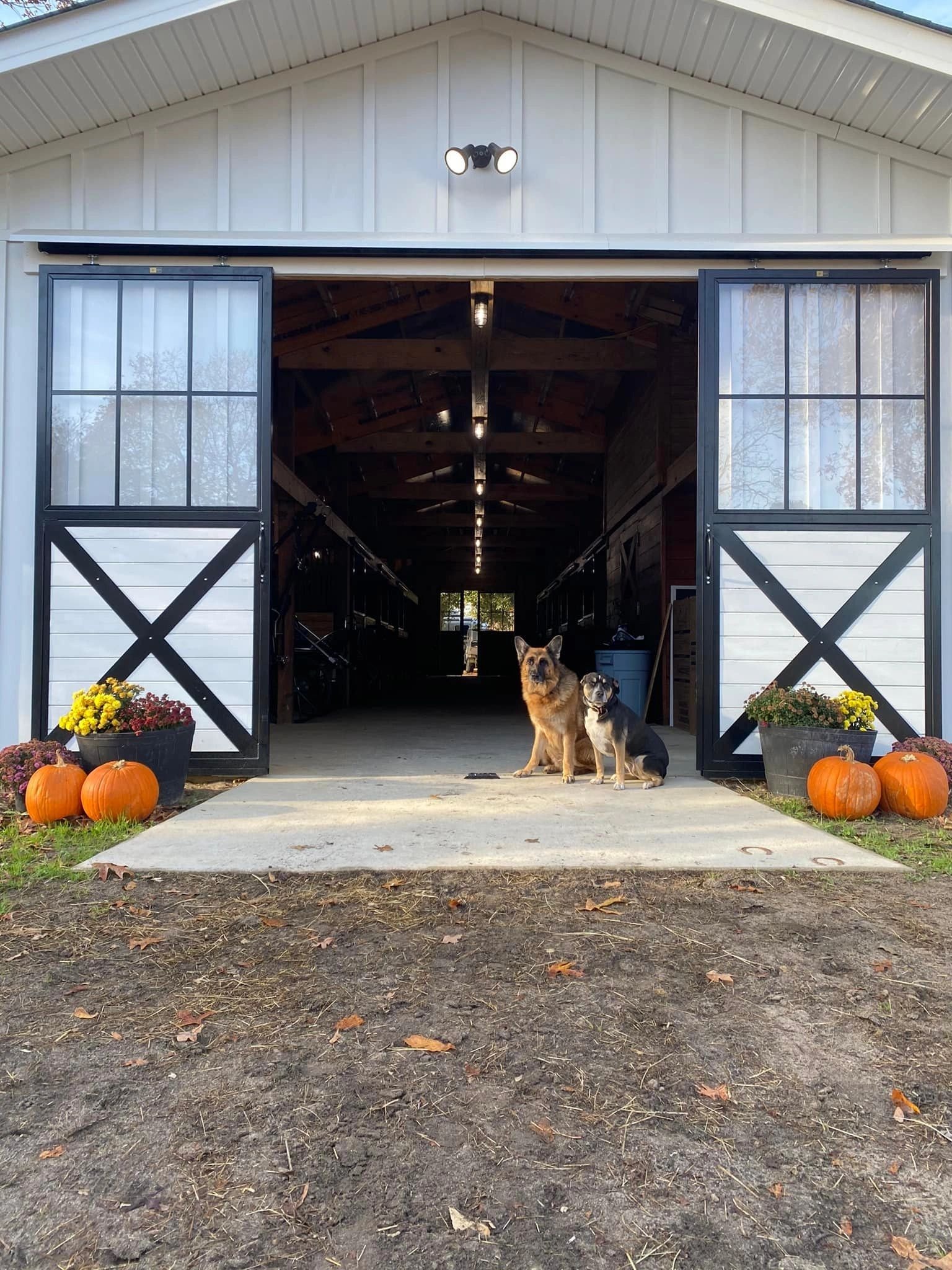 Equestrian barn facility with paddocks